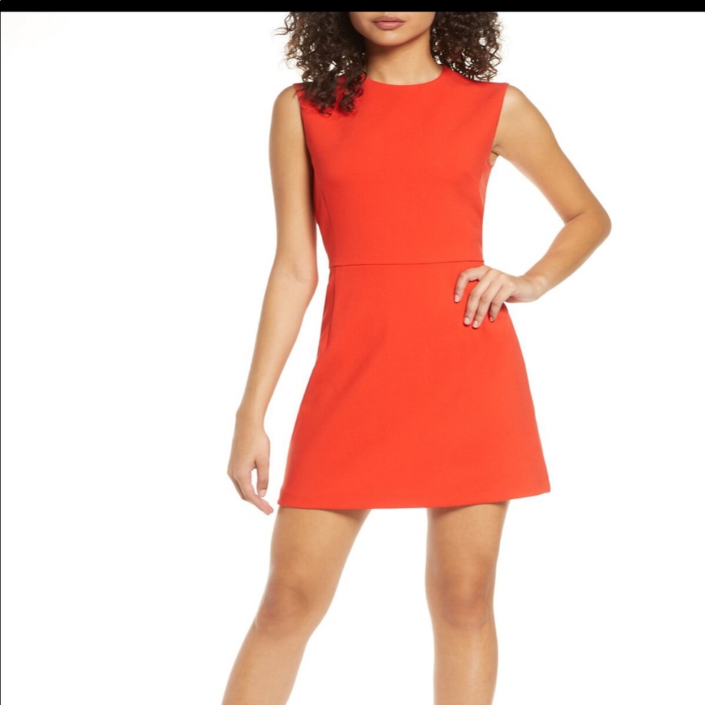 Womens French Connection Dress